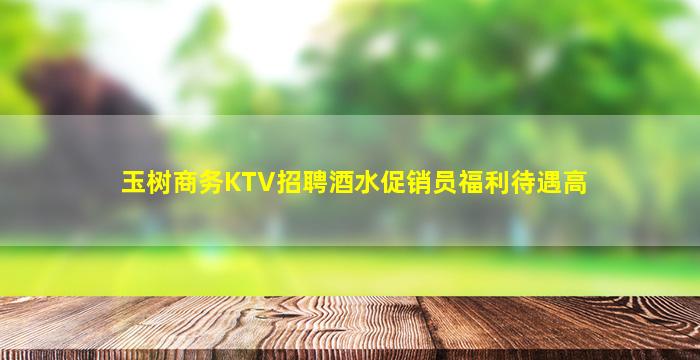 玉树商务KTV招聘酒水促销员福利待遇高